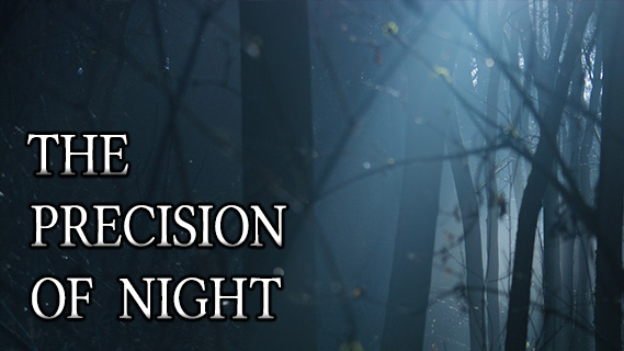 A shadowy forest, shrouded in fog.