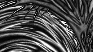 A sentient black hole rises above a sea of liquid flesh. To the right, a shore leads to a forest of hands and feet, towering into the sky.